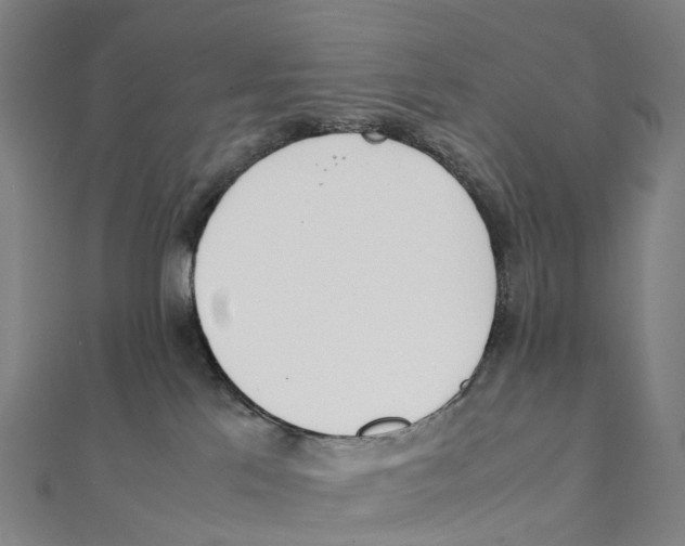 X0000111430041200908101125
