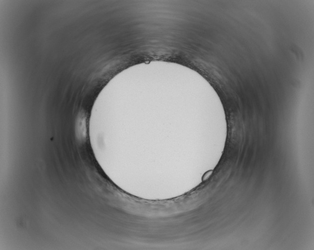 X0000111430042200908101125