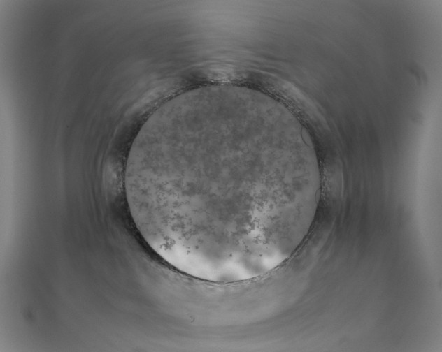 X0000111430043200908101125
