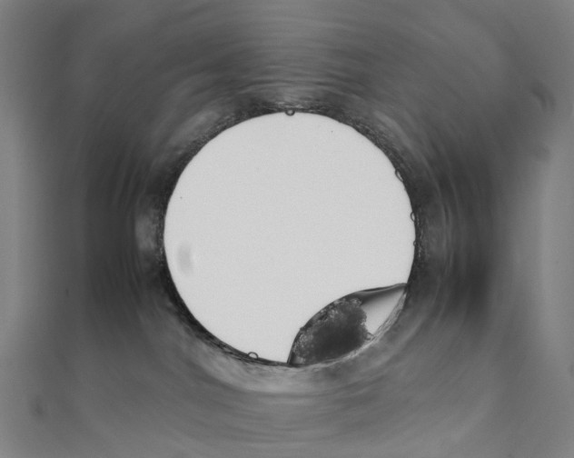 X0000111430044200908101125