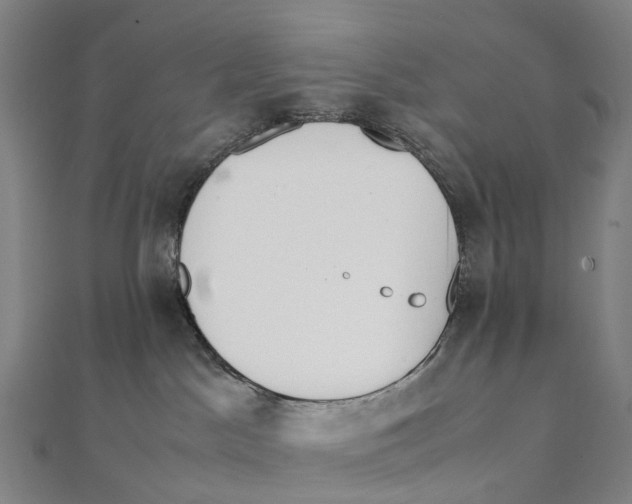 X0000111430045200908101125