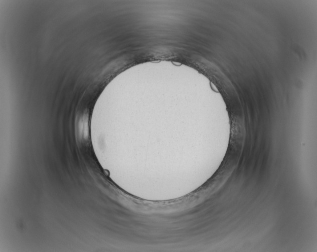 X0000111430046200908101125