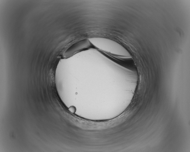 X0000111430048200908101125