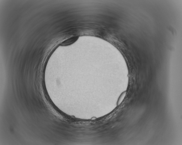 X0000111430049200908101124
