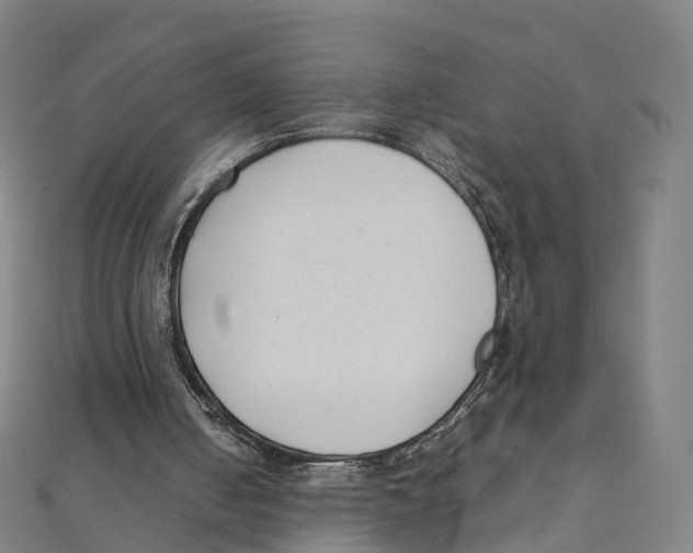 X0000111430050200908101124