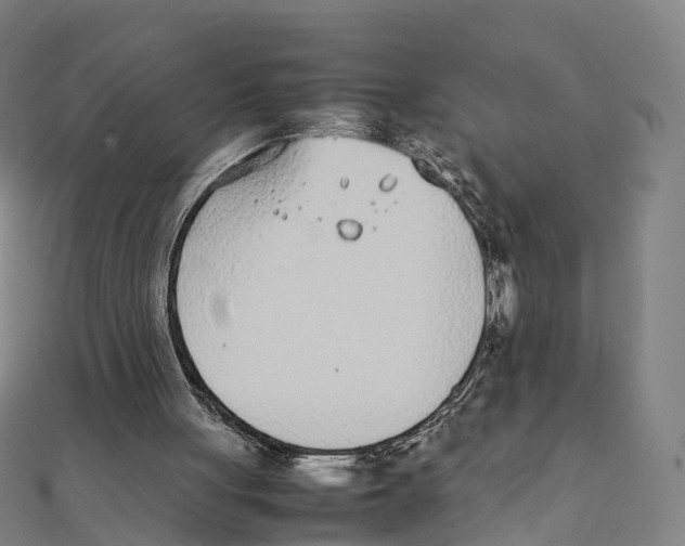 X0000111430051200908101124