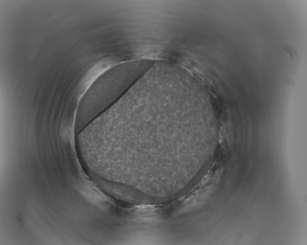 X0000111430052200908101124