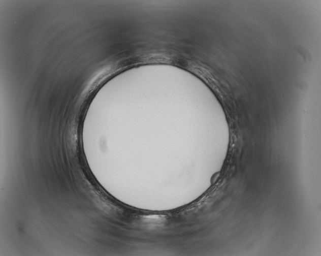 X0000111430053200908101124