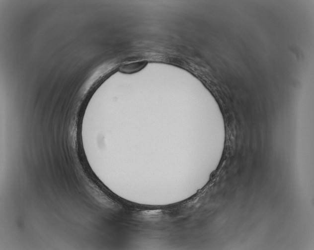 X0000111430054200908101124