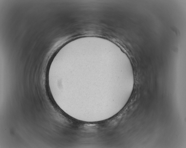 X0000111430055200908101124