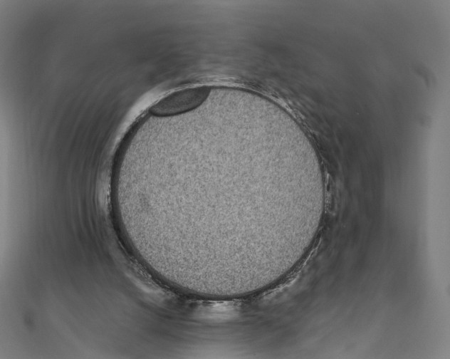 X0000111430056200908101124