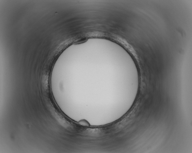 X0000111430057200908101124