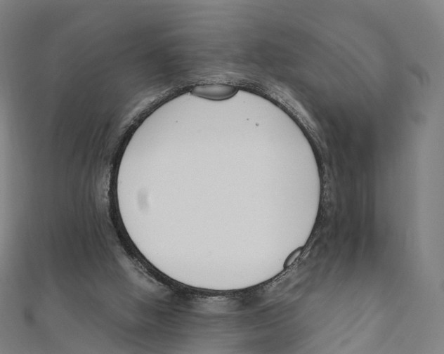 X0000111430058200908101124