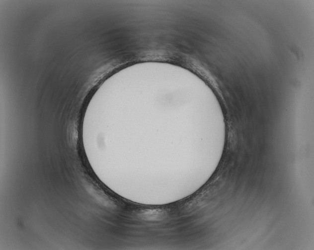 X0000111430059200908101124