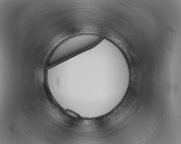 X0000111430060200908101124