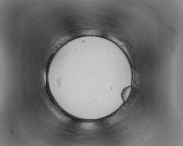 X0000111430061200908101124