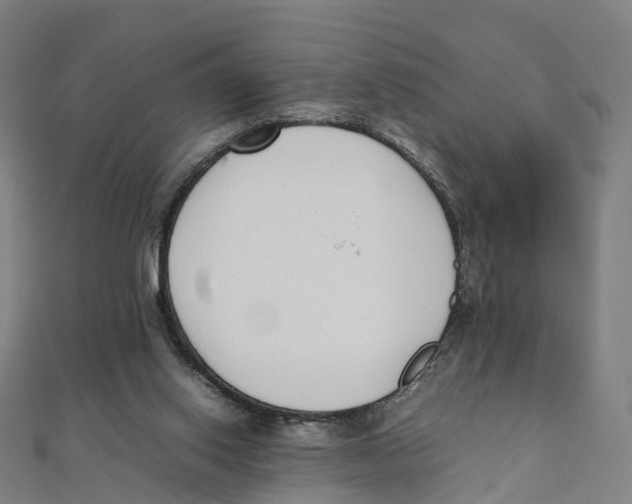 X0000111430062200908101124