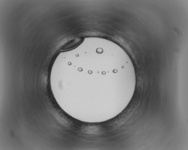 X0000111430063200908101124