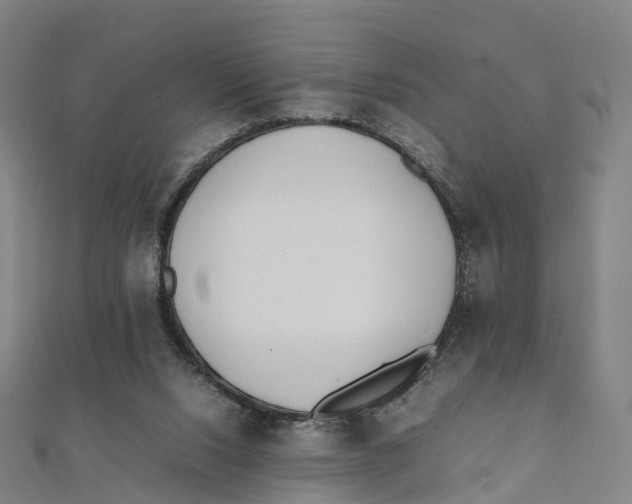 X0000111430064200908101124