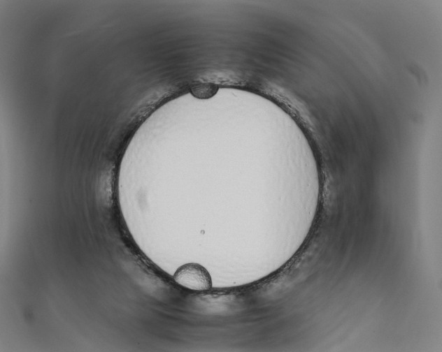 X0000111430065200908101124