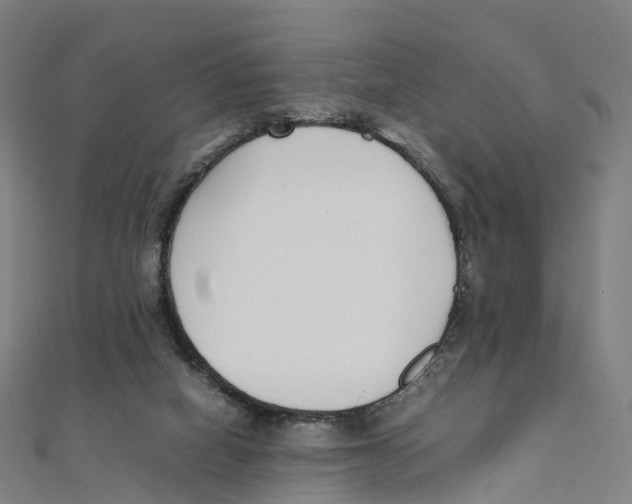 X0000111430066200908101124