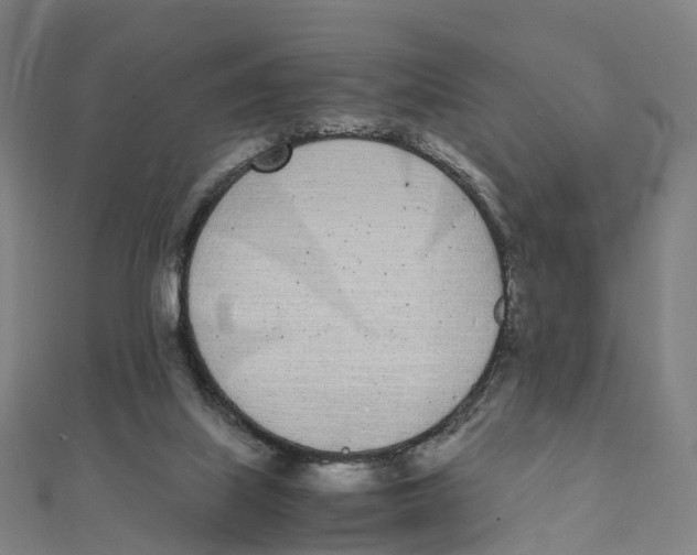 X0000111430067200908101124