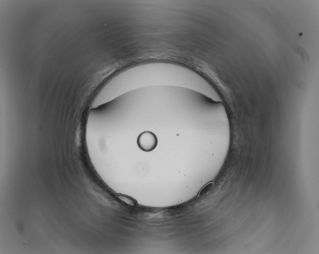 X0000111430068200908101124