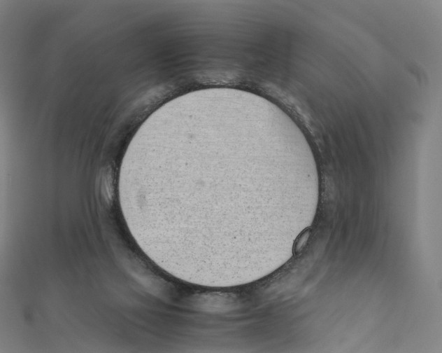 X0000111430069200908101124