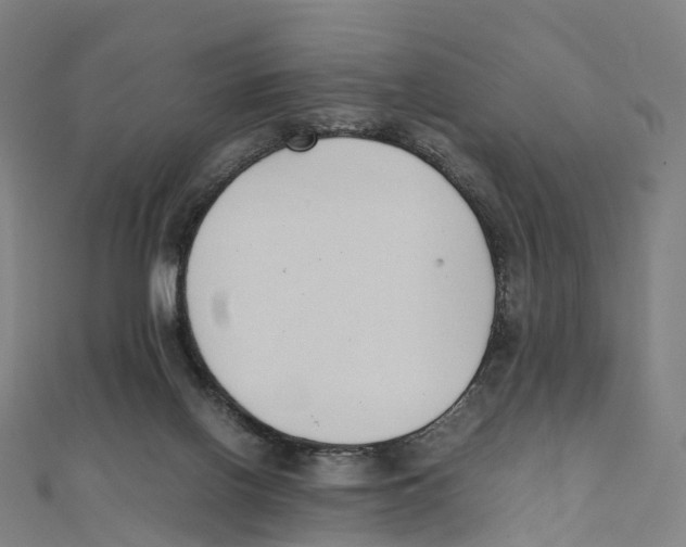 X0000111430070200908101124