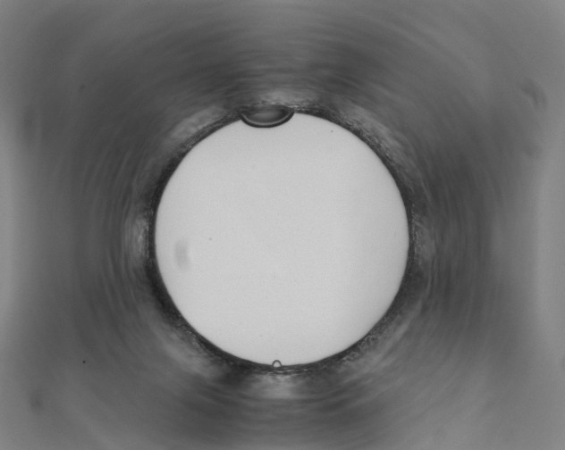 X0000111430071200908101124