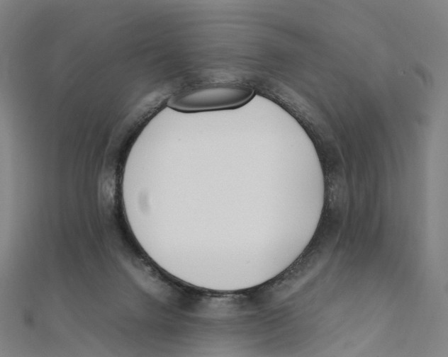 X0000111430072200908101124