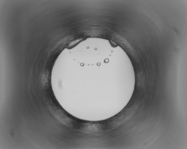X0000111430073200908101124