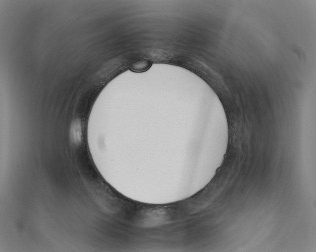 X0000111430075200908101124