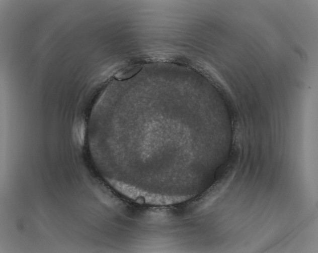 X0000111430076200908101124