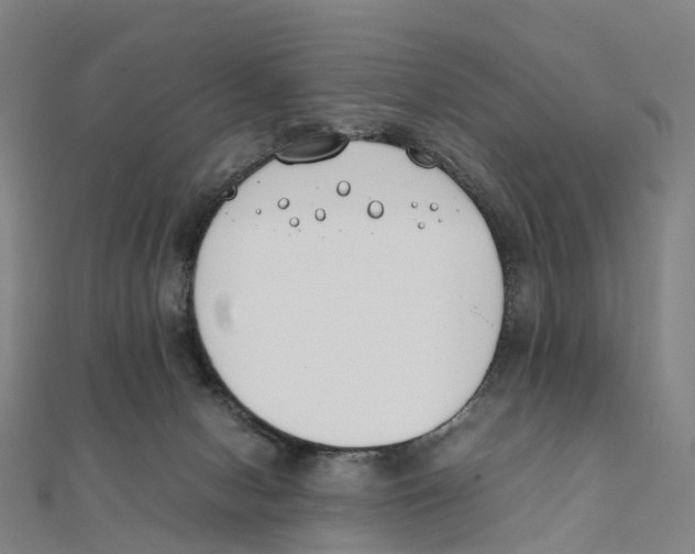 X0000111430078200908101124