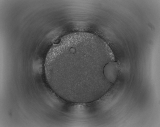 X0000111430080200908101124