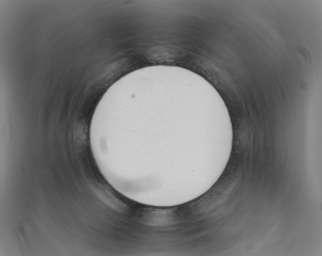 X0000111430081200908101124