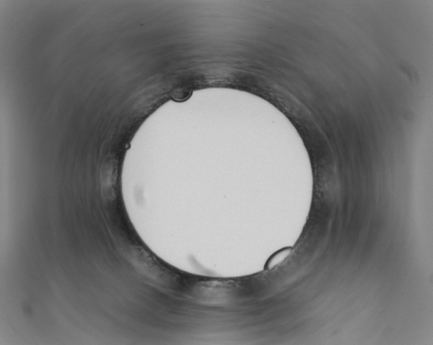 X0000111430082200908101124