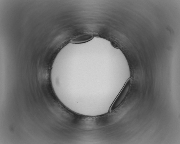 X0000111430084200908101124