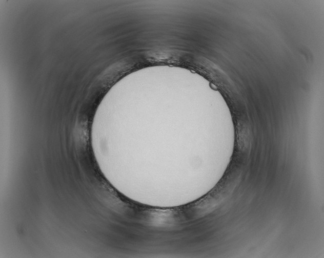 X0000111430085200908101124