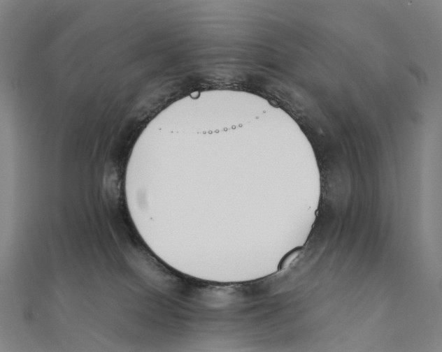 X0000111430086200908101124