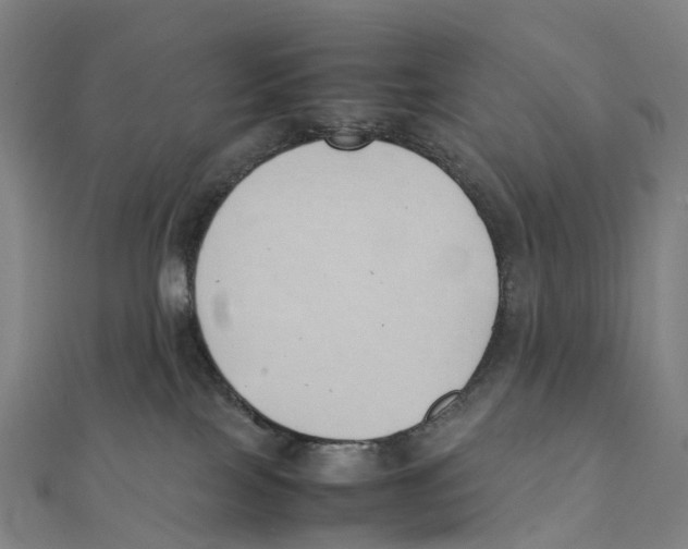 X0000111430089200908101124