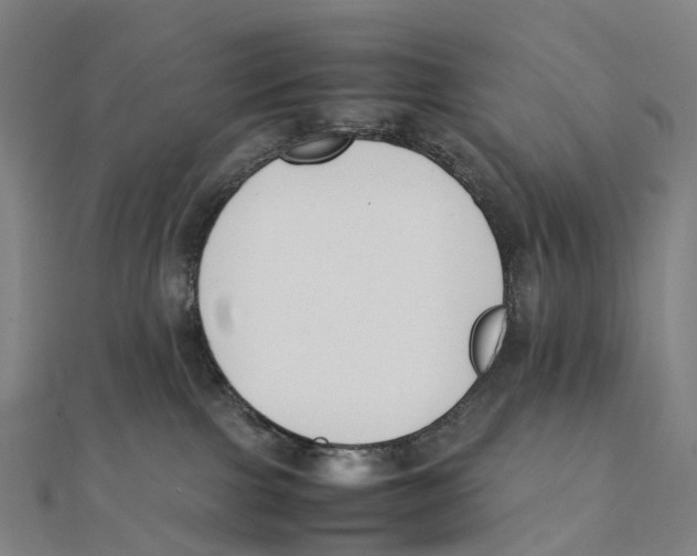 X0000111430091200908101124