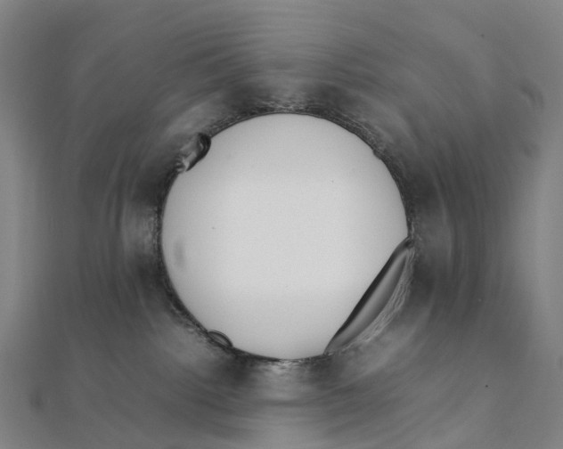 X0000111430092200908101124