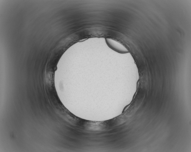 X0000111430093200908101124