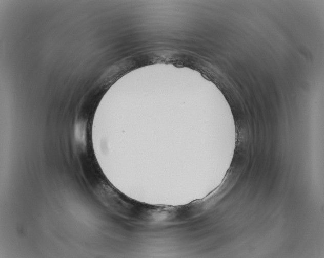 X0000111430094200908101125