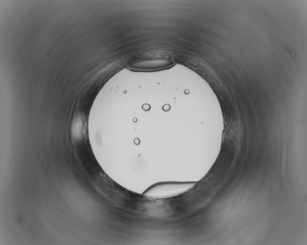 X0000111430095200908101125