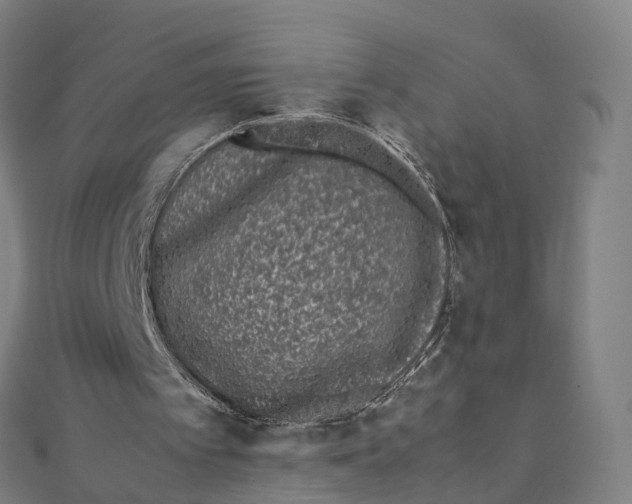 X0000111430097200908101124
