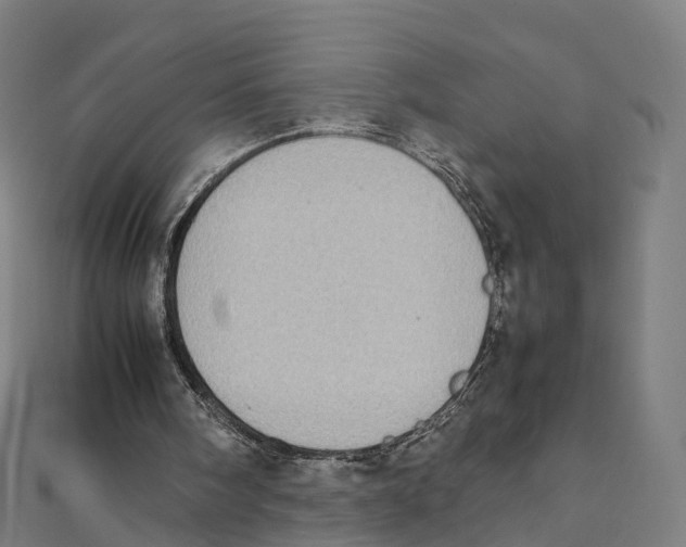 X0000111430098200908101124