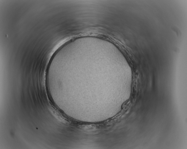 X0000111430100200908101124